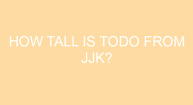 How Tall Is Todo From JJK?