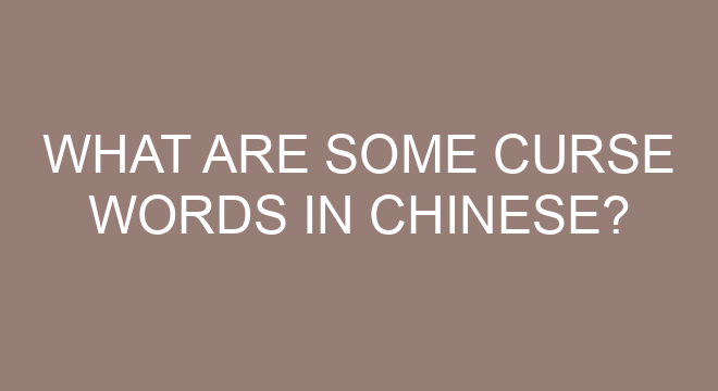 What Are Some Curse Words In Chinese 