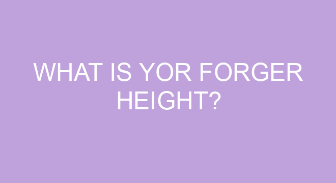 What Is Yor Forger Height?