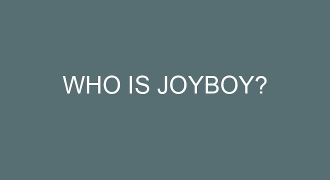 Who Is Joyboy 4 36517 